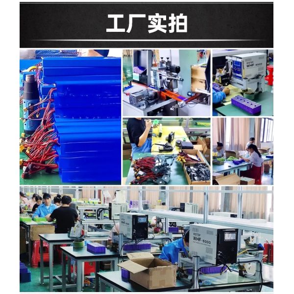 Golf Cart 24V 48V Lithium Battery 100Ah 120Ah 200Ah Solar Lifepo4 Battery