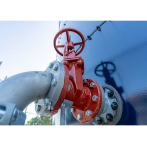 Quality Temperature Steel Gate Valve Double Wedge Design with Bolted Bonnet for sale