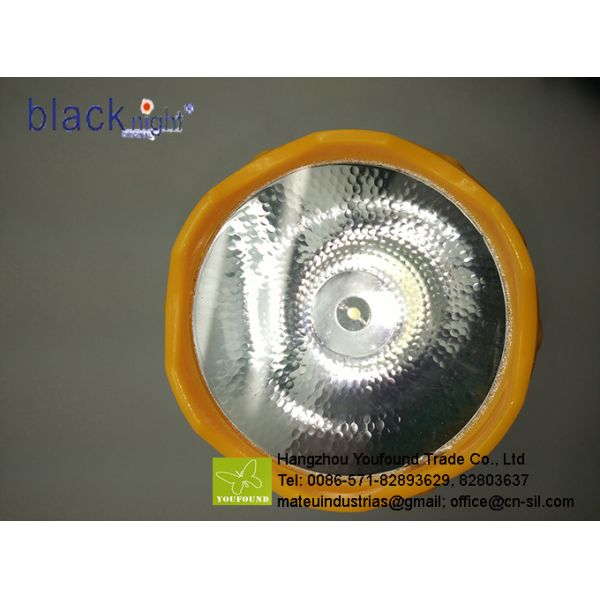 BN-415S Flower Style Solor Power Rechargeable Led Home Torch LED Flashlight