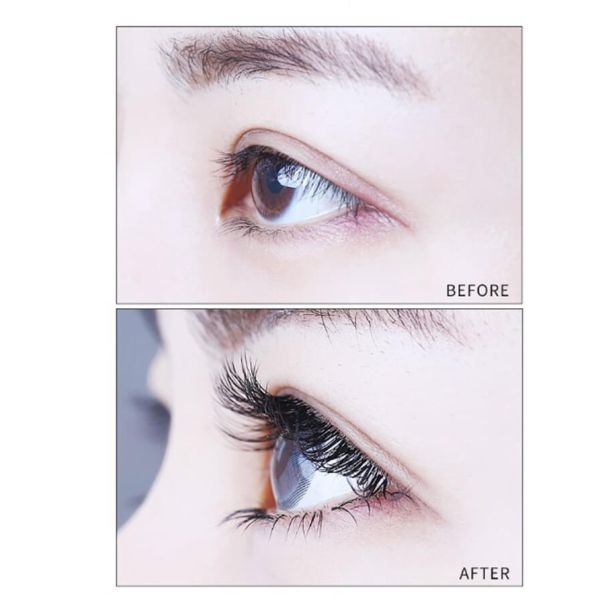 Individual False 0.2mm Classic Lash Extensions B Curl