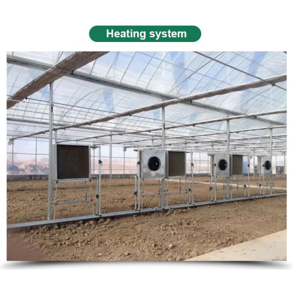 Automatical Controlling System Galvanized Steel Frame Film Greenhouse for Agriculture