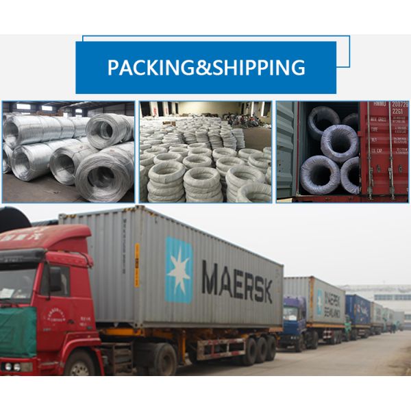 BWG8-BWG22 Electro Galvanized Binding Wire