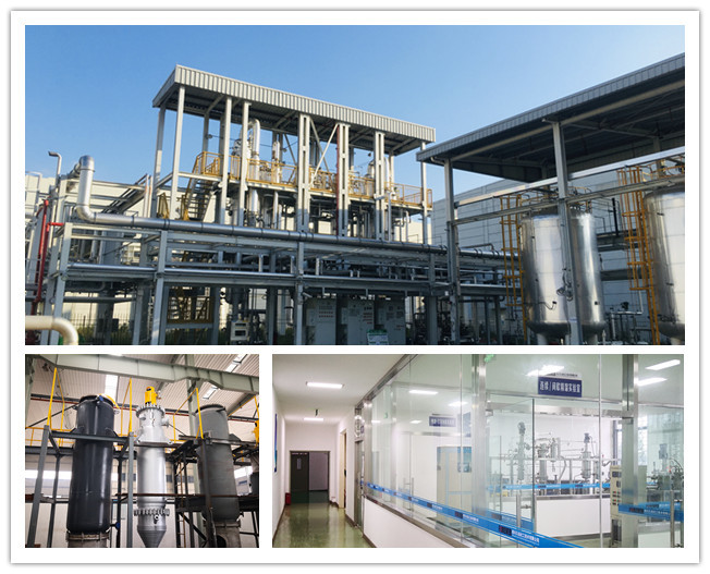 ODM Stainless Steel Chemical Storage Tanks Various Sizes