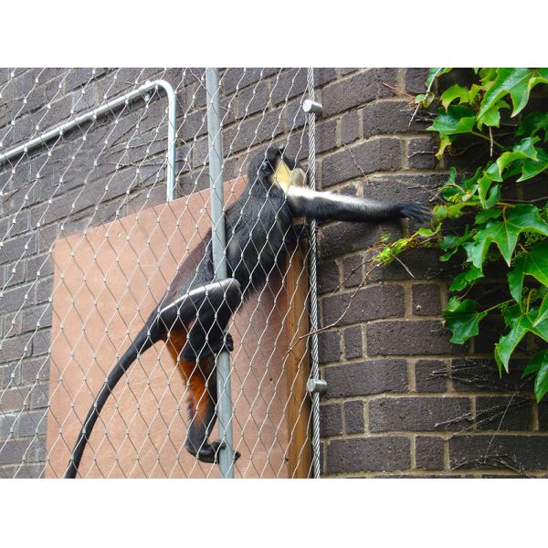 Diamond Hole Stainless Steel Ferrule Rope Mesh For Zoo Animal Enclosure Netting