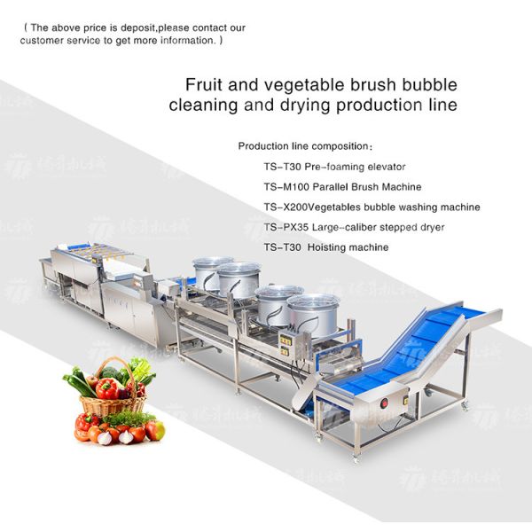 Kiwi Carrot Taro Vegetable Brush Bubble Cleaning Machine 2.5KW