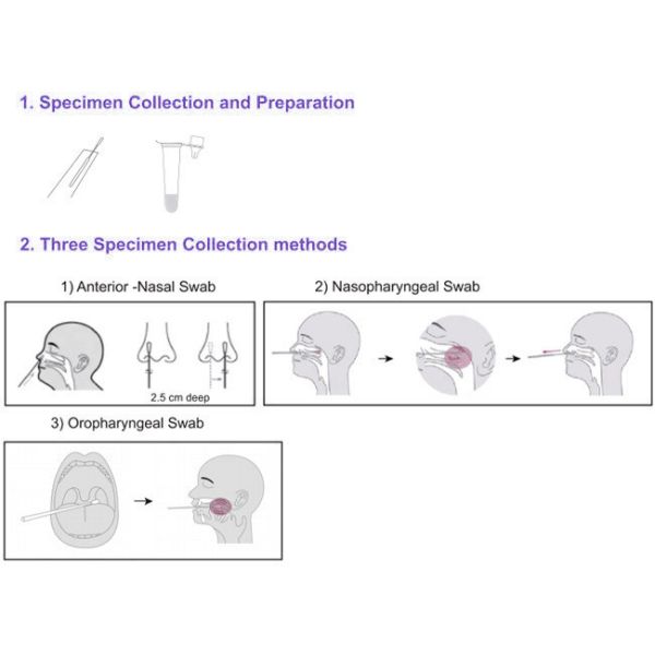 Ag Covid 19 Antigen Self Test Kit For Nasal Throat Buccal 25 Tests/Kit