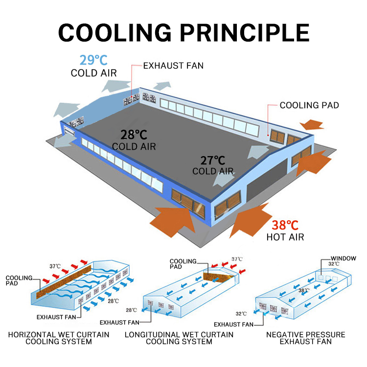 Good Quality Greenhouse Chicken Farm Industrial Workshop Ventilation Fan air Cooler Fan Exhaust Centrifugal Fan