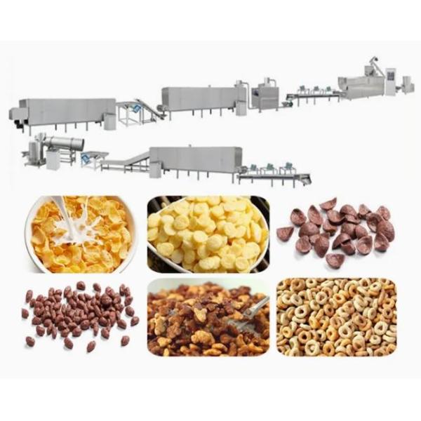 Automatic Corn Flakes processing line&roasted corn flakes processing line/corn flake making machine