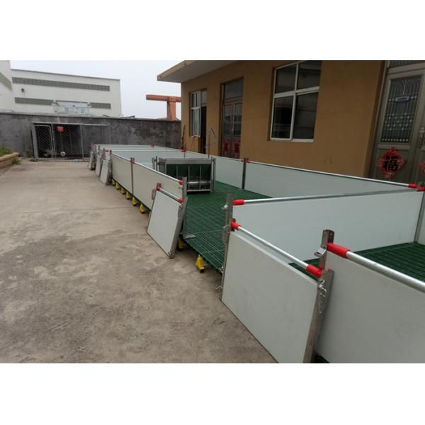Customized Size Pig Farm Equipment Farrowing Crate For Sow / Piglet High Performance