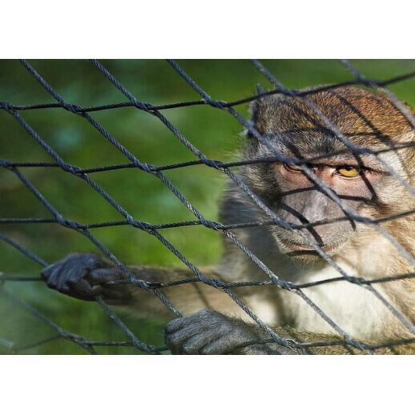 High Durability Animal Enclosure Mesh Lightweight With Woven Type / Ferrule Type