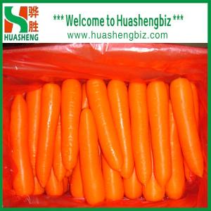 China Fresh carrot on sale