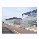 China 4.0-8.0M Height Agricultural Multi Span Film Greenhouse with Super Strong Resistance for sale