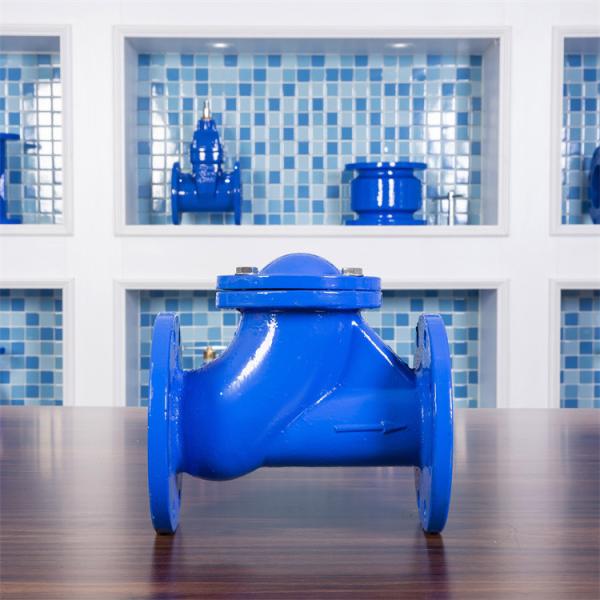 DIN3202 F6 Ductile Iron Check Valve For Sewer Line 300mm PN10 Y Strainer