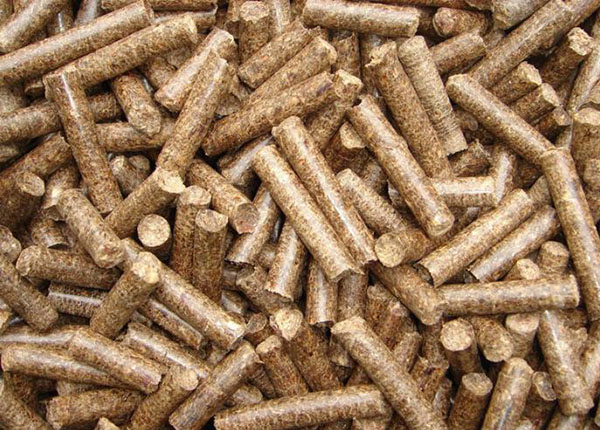 Chicken Farming Small Feed Pellet Machine 200-300kg/Hr