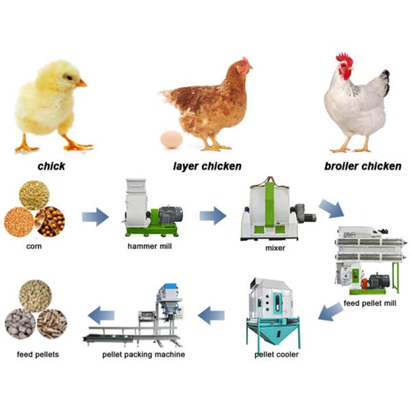 15mm Baby Chicken Poultry Feed Production Line 5 Tons Per Hr