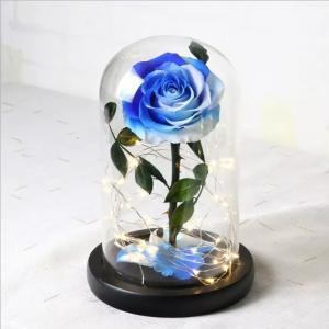 China Beautiful Preserved Rose in Glass Dome flower arrangement for lover Everlasting Flowers Preserved Flowers on sale