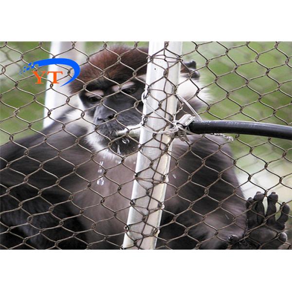 Polish Animal Wire Mesh 304 316 Inox Cable Webnet Zoo Enclosure Mesh