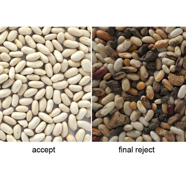 High Sorting Accuracy White Bean Color Sorter Sorting Machine For Bean Separating