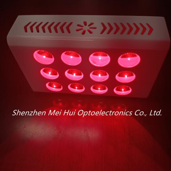 Buy 40W PDT Red Light Therapy Machines Anti Aging Decrease Inflammation at wholesale prices