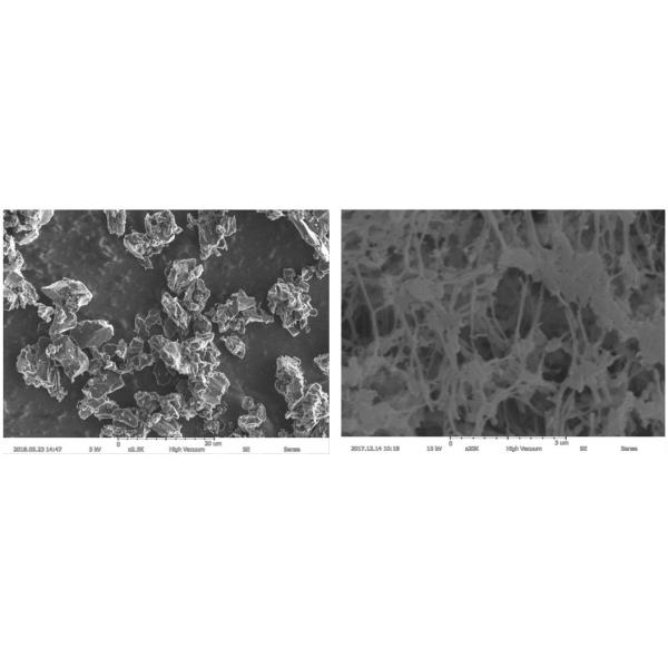 Magnification Max 150000X Scanning Electron Microscope 5nm Resolution EDS BSE