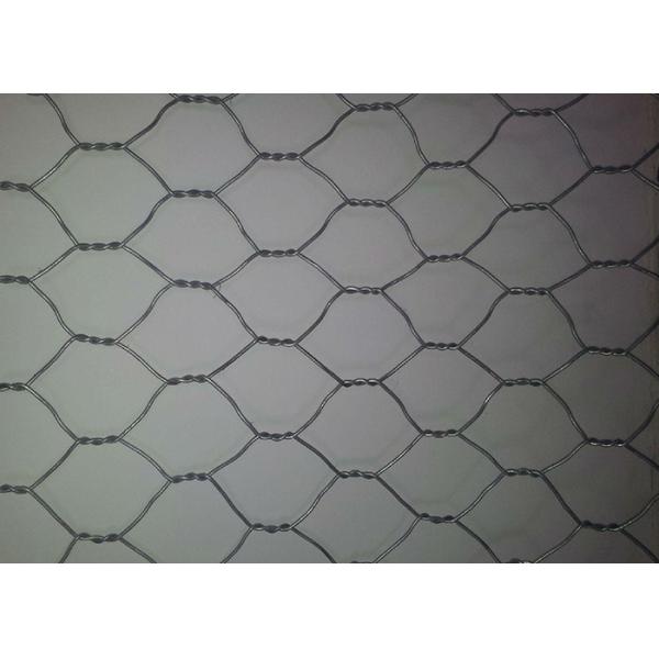 PVC Coated Galvanized Chicken Hexagonal Wire Mesh Rust Resistant