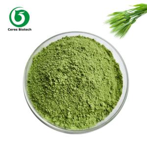 China Plant Herb Extract Barley Grass Powder Natural Ingredient 100 - 200mesh on sale