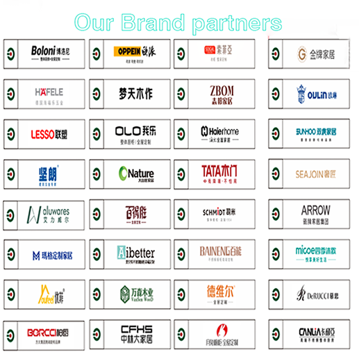 2 Tier Multi Purpose Pull Out Baskets Kitchen Cutlery Organizer For Spice Seasoning Bottle