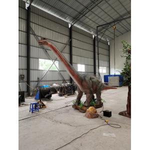 Dinosaur Park 3D Authentic Animatronic Dino Customization