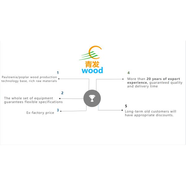 100 1220 Mm Width Paulownia Wood Snowboard Core Panel with Modern Design Style