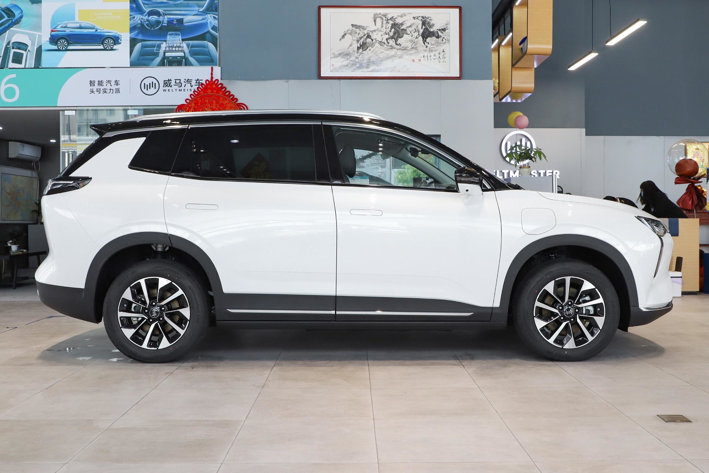 Weima W6 New Energy Weltmeister Medium Full Electric SUVs 160kW