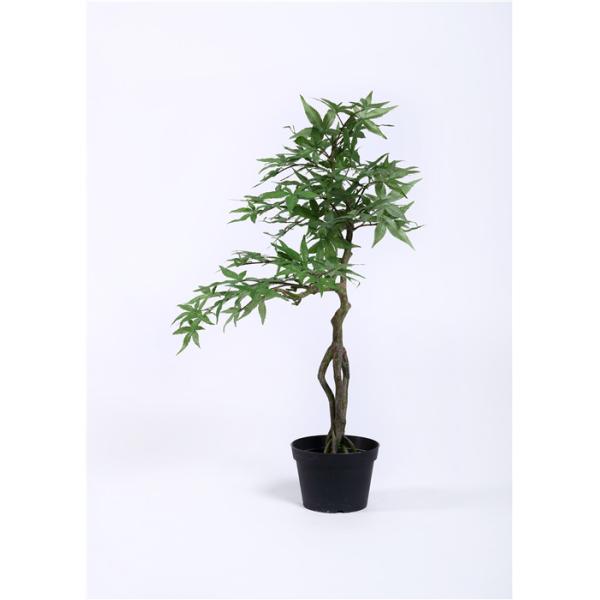 Acrylic Paints Preserved Bonsai Tree Interior Landscaping Environmental Rejuvenating