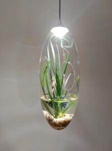 China DIY PLANT OR FISH TANK LAMP，CHILDREN LOVELY LIGHT，Protect eyesight LAMP，succulent plants lamp,usb plug wire lamp on sale