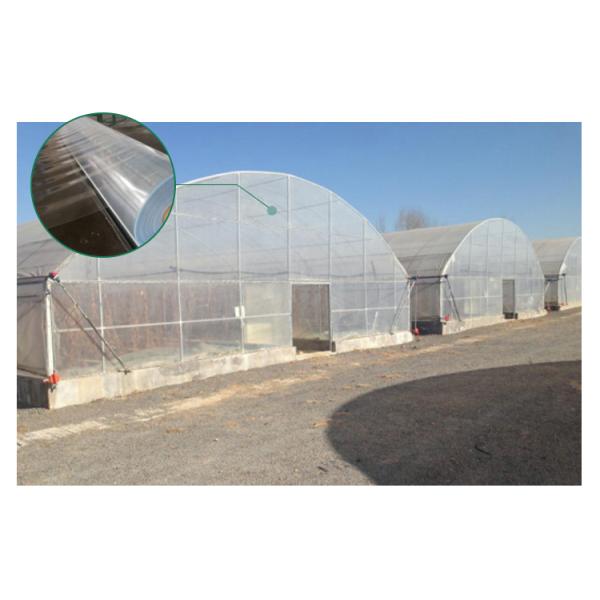 Plastic Shed Winter Tomato Greenhouse for Crops Width Defined by Area