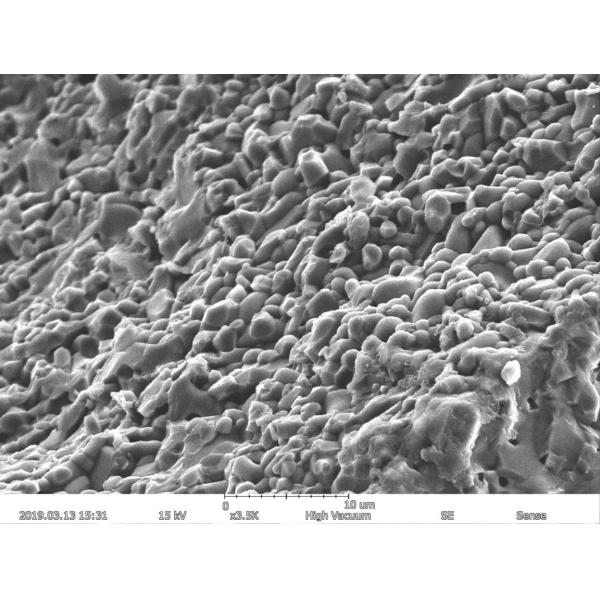 Magnification Max 150000X Scanning Electron Microscope 5nm Resolution EDS BSE