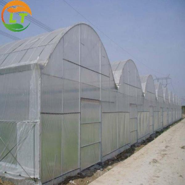 Double Layer Anti Insect Net for Agriculture Greenhouses Cover Plastic Film Effective
