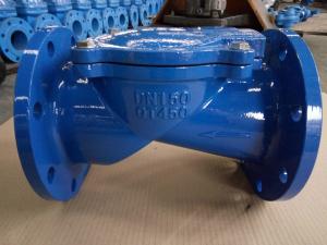 Quality Cast Ductile Iron Check Valve DN50 Pn16 Ggg50 DIN Flanged Swing Check Valve for sale
