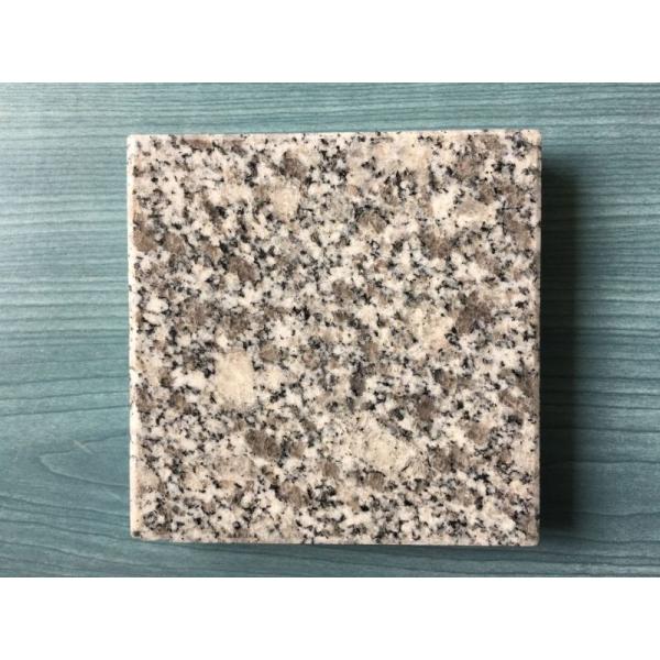 Building Material Granite Stone Tiles / Slab Different Sizes Optional