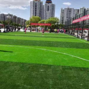 Quality PE PP Material Synthetic Artificial Grass For Soccer School Training for sale
