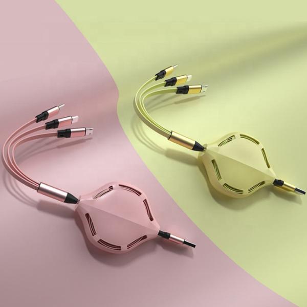Retractable 3A Length 30cm Fast Charging USB Cables With Type C Micro