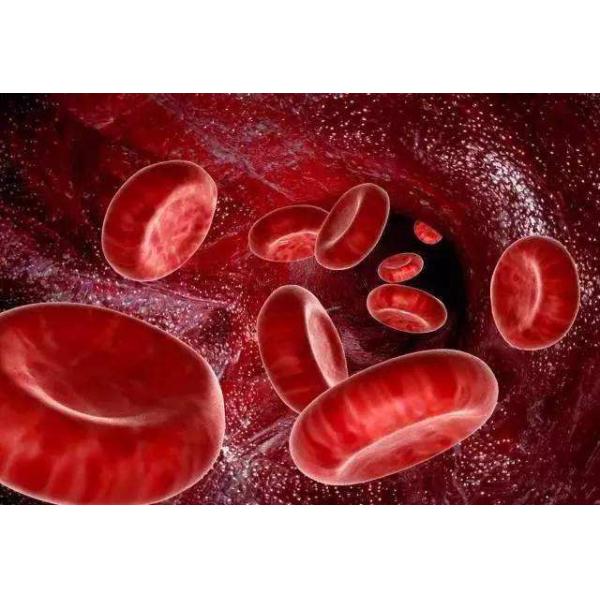 Sitting Hyperbaric Chamber Hyperbaric Soft Chamber Customized For Anti Aging