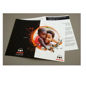 Quality tri-fold flyer printing, glossy flyer printing,booklets printing service,Custom booklet printing for sale