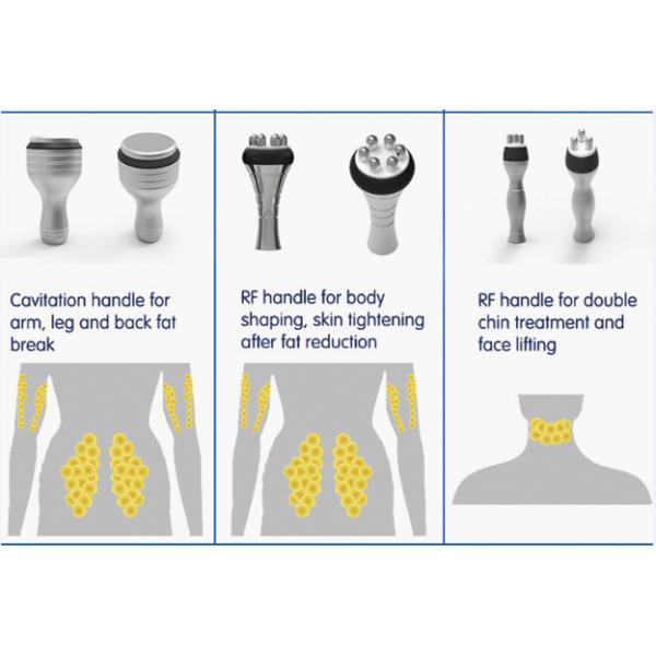 FDA CE aprobó la clínica de belleza utilizado 5 manijas cryolipolysis máquina adelgazante con cavitación Rf maneja