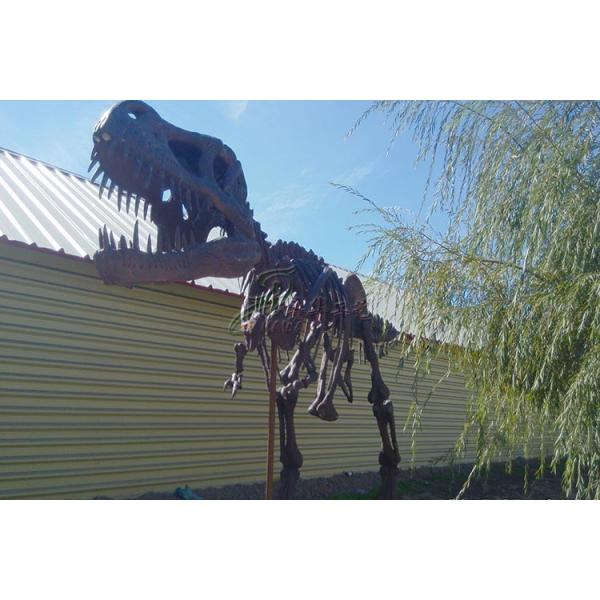 Golden Plated Complete Dinosaur Fossil Dino Skeleton For Amusement Park
