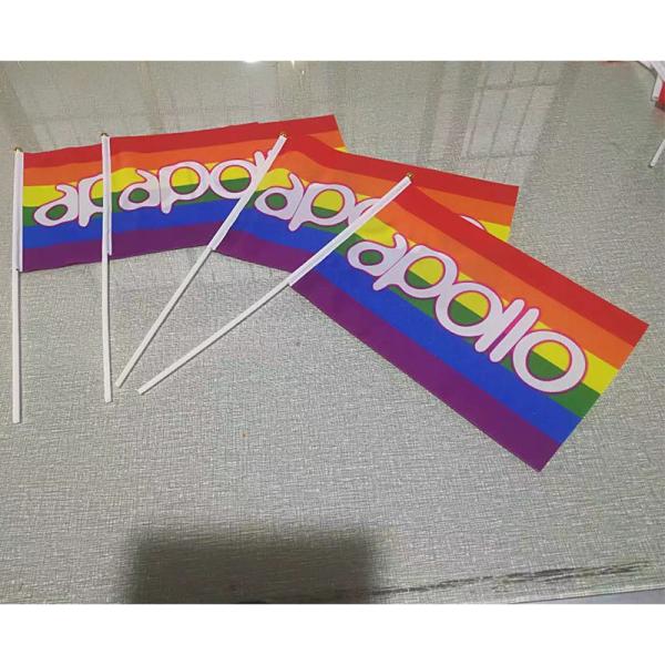 Printed Double Sided Pride Flag Hand Held 100% Polyester Material