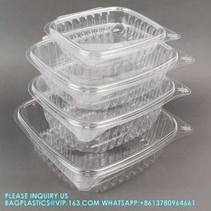 China 8oz 12oz 16oz 24oz 32oz 48oz Clear Plastic Pet Hinged Clamshell Fruit Salad Box Bowl Transparent Deli Container on sale