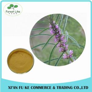 China Clear Heart and Regulate Menses Natural Motherwort Herb Extract on sale