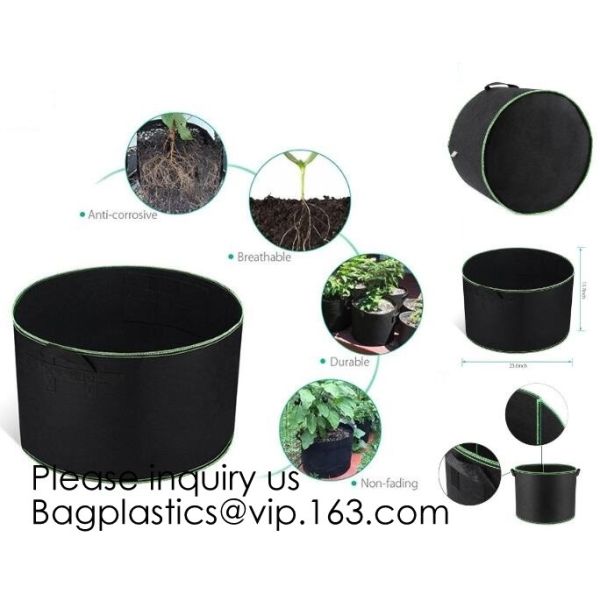 Flet Carry Bag, Boat Shapen Beach Bag, Tote Bag With Long Handle, Carrying Backpack, Pocket, Folding Bag, Bagease, Bagpl