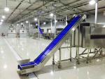 Container Loading Unloading Belt Conveyor System