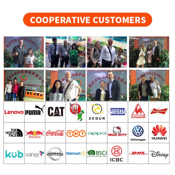 BSCI ISO9001 Custom Insulated Cooler Bag Leak Proof Zipper Cooler Bag