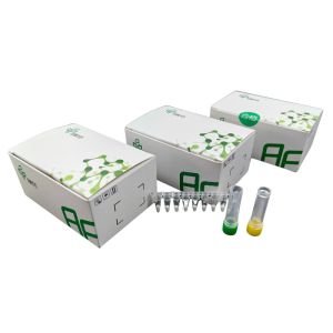 Quality Basic Nucleic Acid DNA Amplification Kit 48 Reactions 20mins for sale